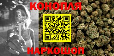 соль ск Будённовск