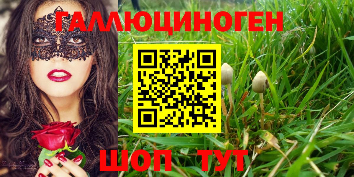Саянск  Псилоцибиновые грибы ЛСД  Вход с VPN 